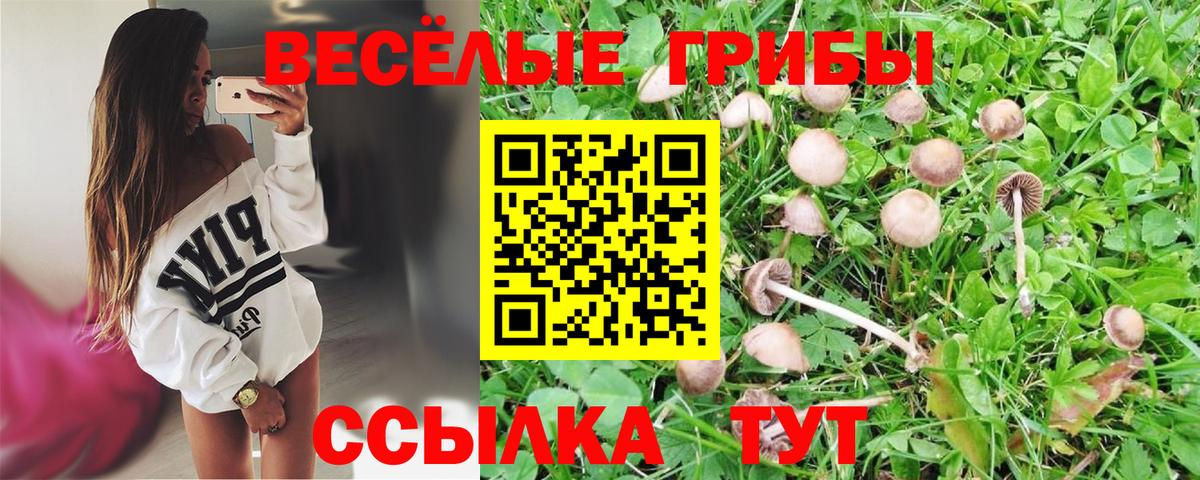 Котовск  Псилоцибиновые грибы мухоморы  Вход с VPN 