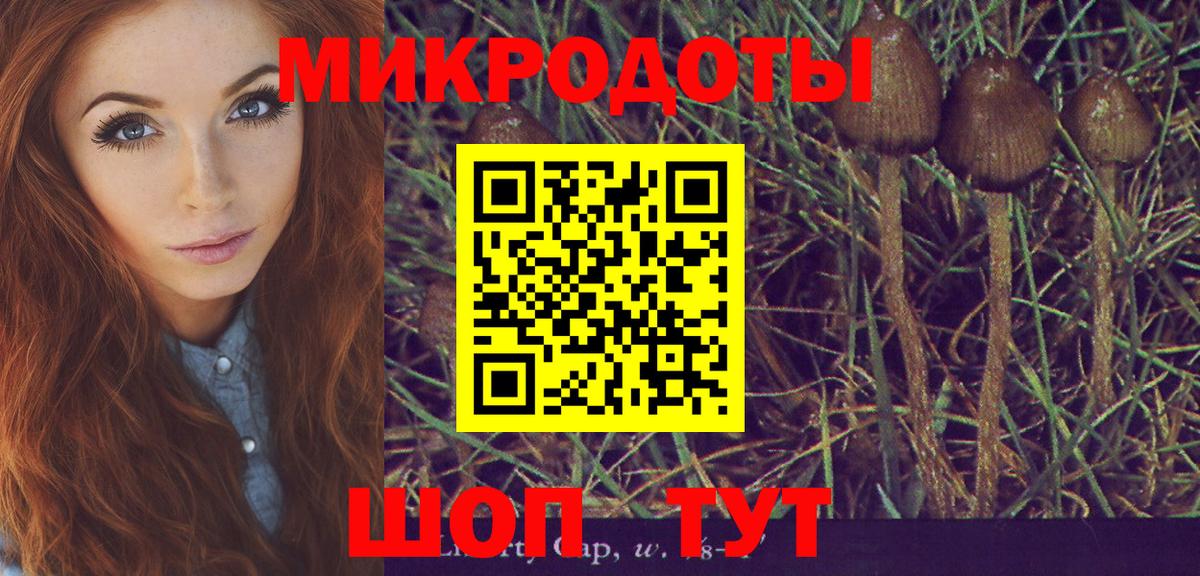 Галлюциногенные грибы мухоморы Котовск
